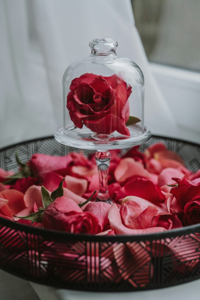 Homemade Rose Potpourri