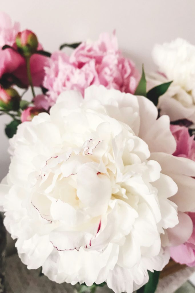 How to Grow Peony from Seed