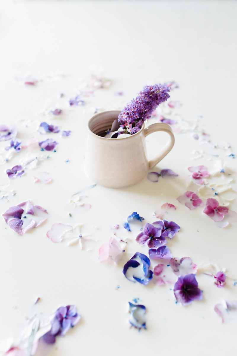 Lavender Potpourri
